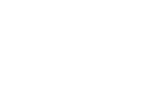 logo-rz-blanco